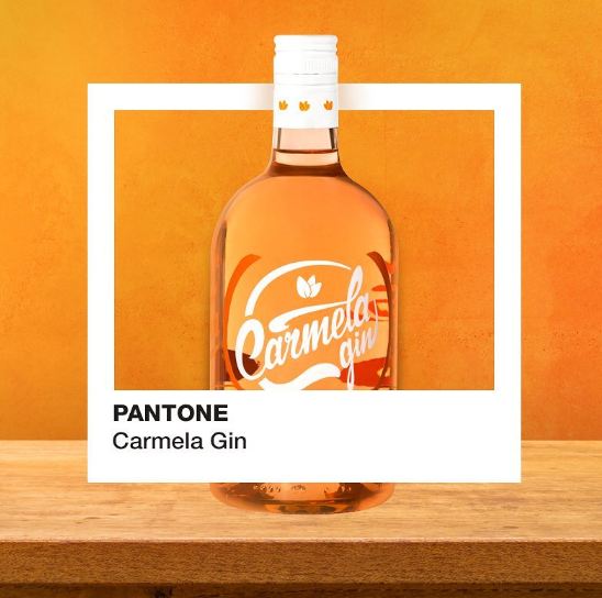 Campaña con influencers – Carmela Gin